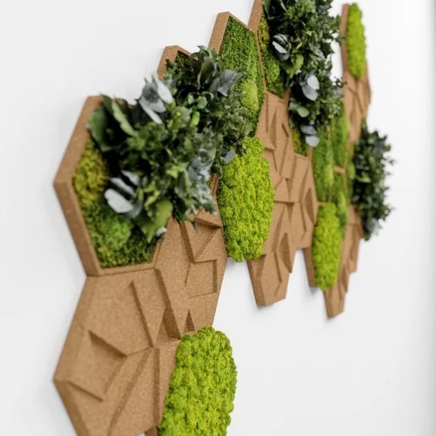 zielona ściana z korkiem naturalnym zielona ściana z korkiem naturalnym